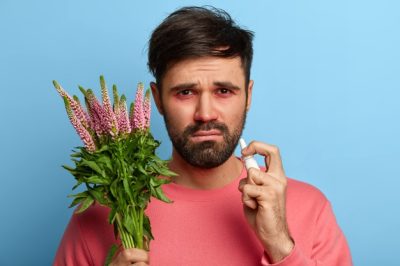 Plantas de interior que no provocan alergias