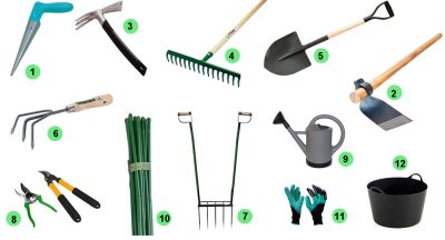 5-herramientas-de-plantas-imprescindibles-para-el-cuidado-de-plantas-de-interior