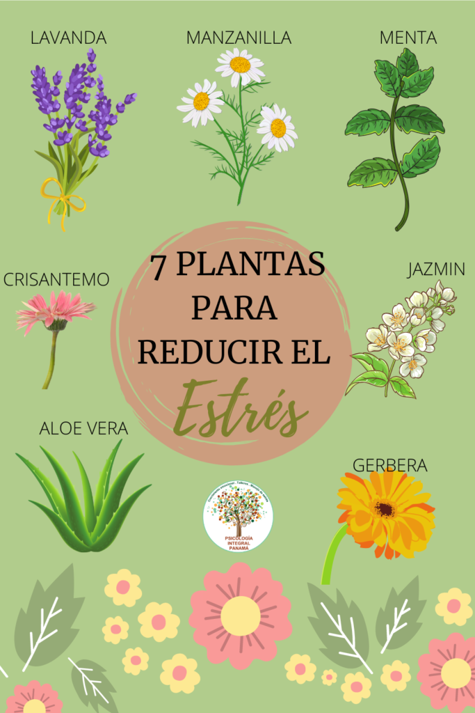 8-plantas-que-te-ayudaran-a-mejorar-tu-salud